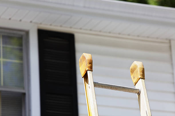 Best Siding for New Construction  in Halls, TN